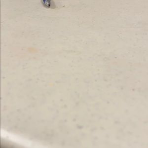 Meet your Posher, Odalys